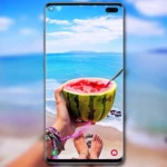 Logo of Summer Wallpaper android Application 